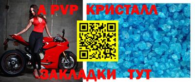 спиды Гусев