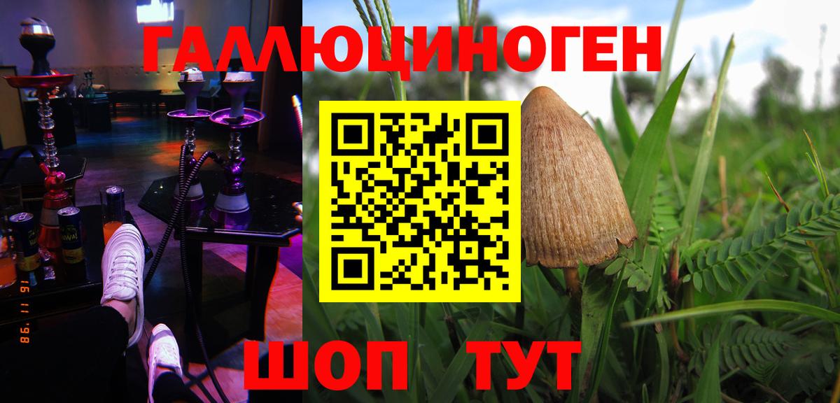 Урюпинск  Псилоцибиновые грибы Psilocybe  Вход с VPN 