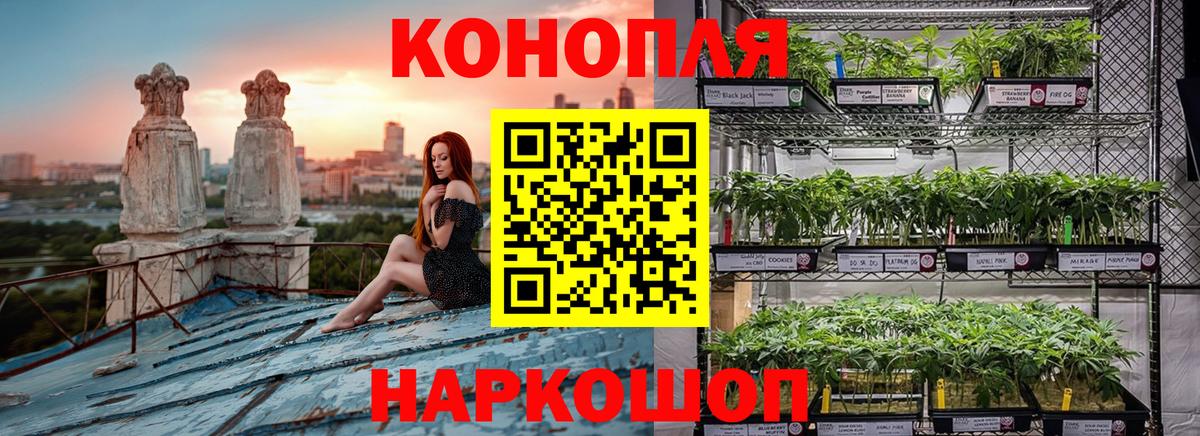 Шишки марихуана ГИДРОПОН  Вход с VPN  Урюпинск  Марихуана AK-47 